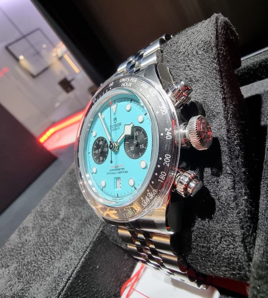 TUDOR FLAMINGO (1)