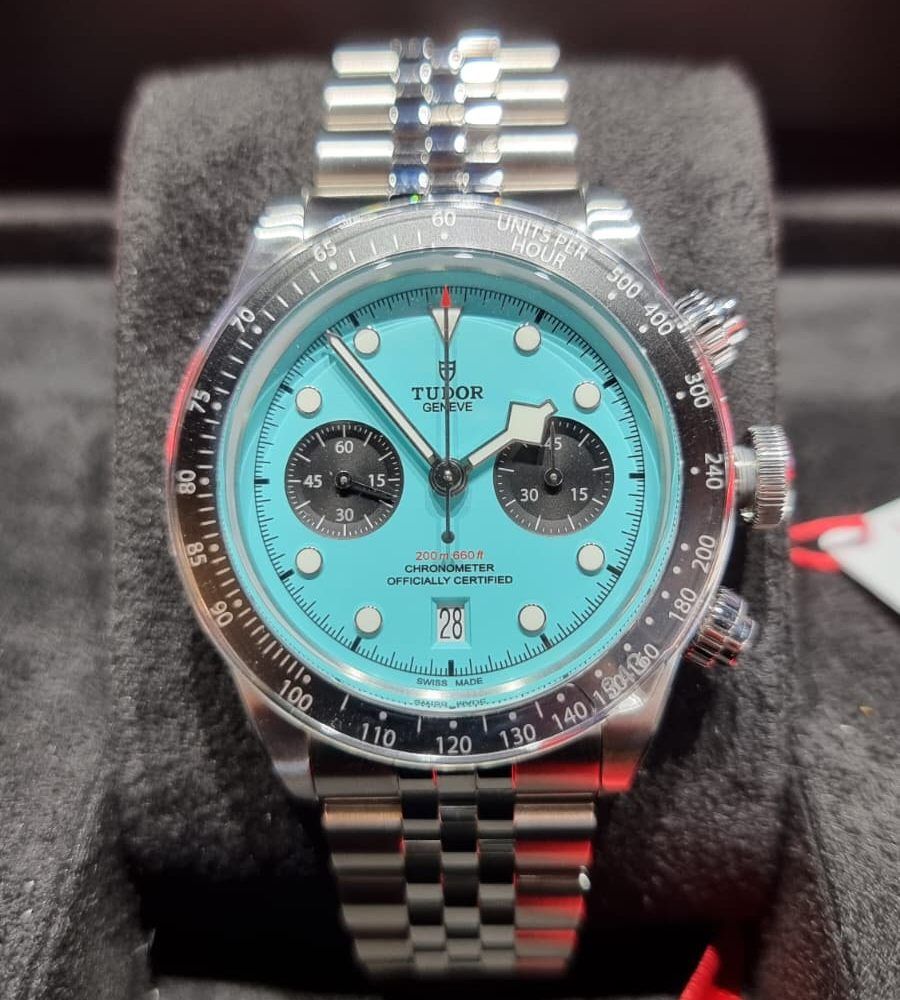 TUDOR FLAMINGO (6)
