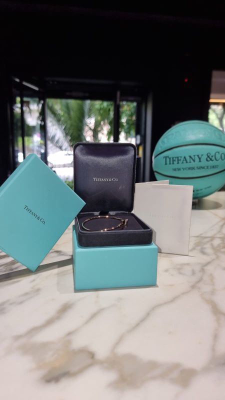 TIFFANY & Co. - T Wire