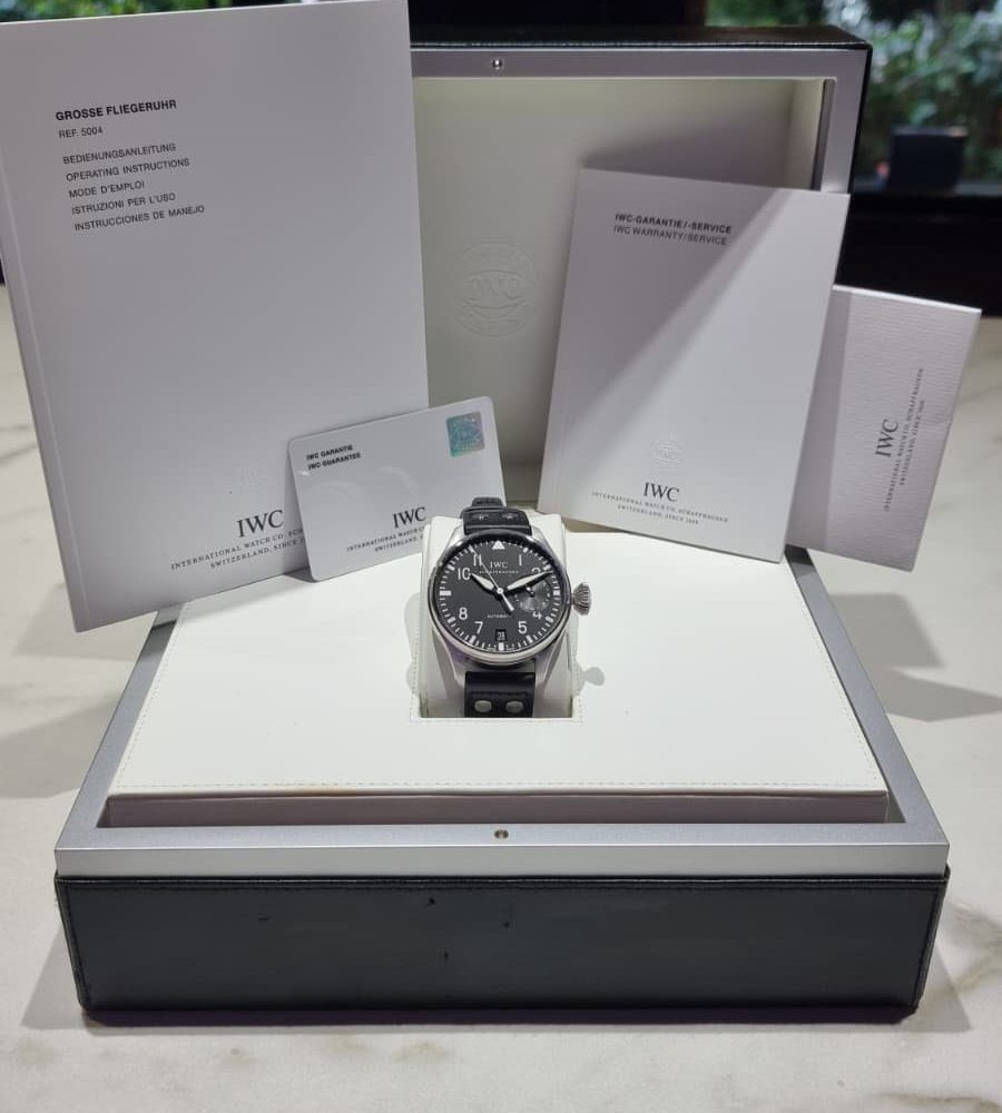 's Watch (Ref. IW500401) (5)